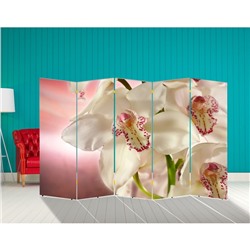 Ширма "Орхидея. Айвори" 250 × 160см